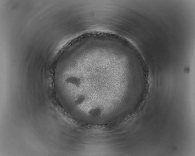 X0000111790823200908131410