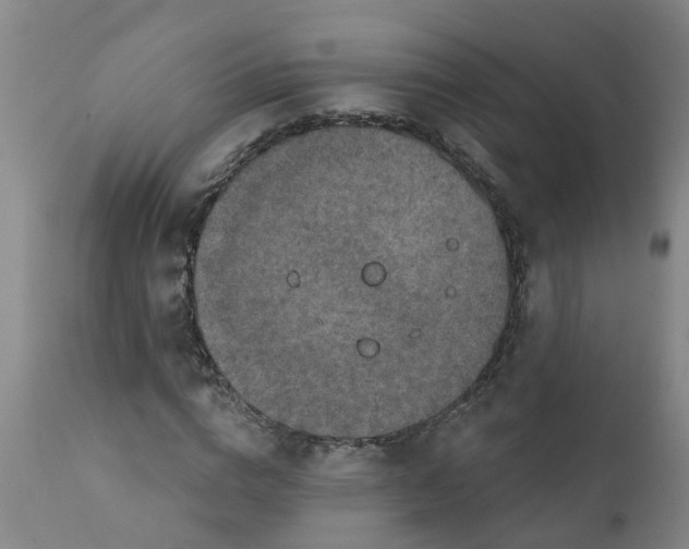 X0000111790824200908131410