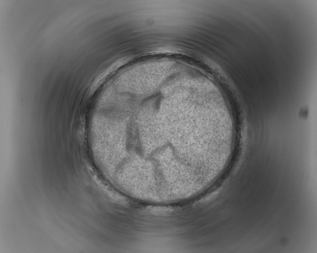 X0000111790825200908131410