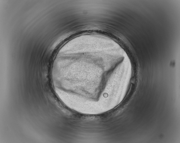 X0000111790826200908131410