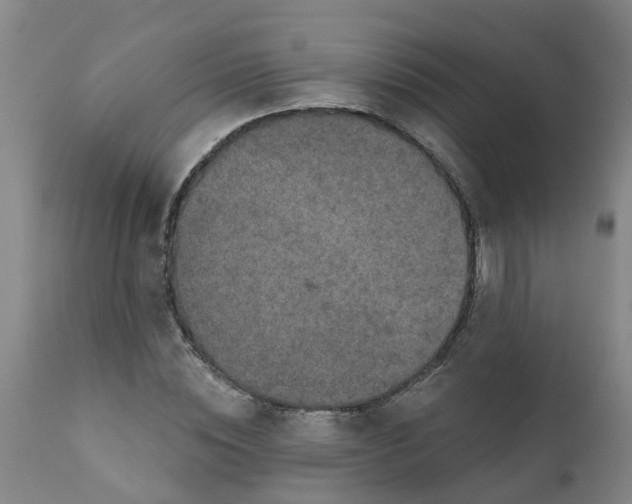 X0000111790828200908131410