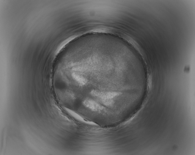 X0000111790829200908131410