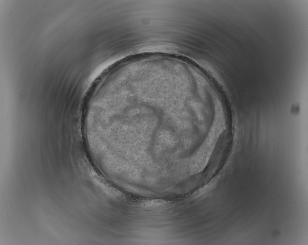 X0000111790830200908131410