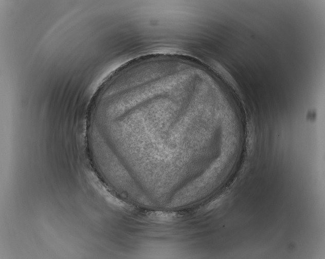 X0000111790831200908131410