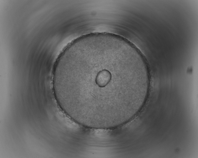 X0000111790832200908131410