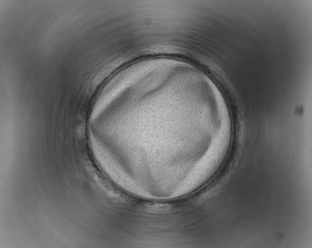 X0000111790833200908131410