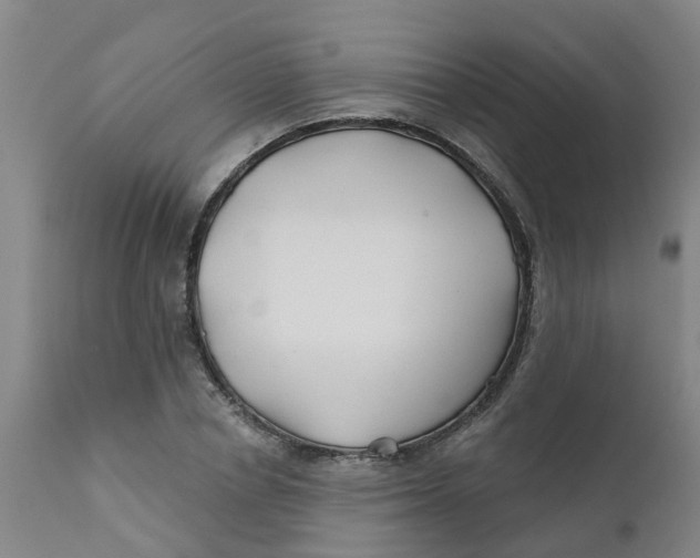 X0000111790834200908131410