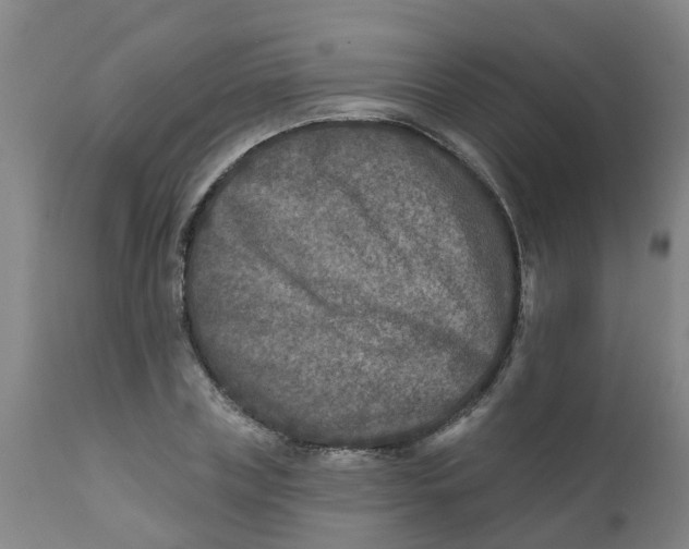 X0000111790835200908131410