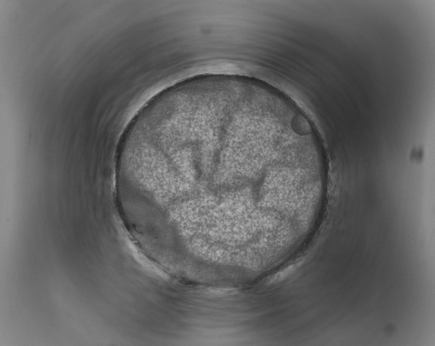 X0000111790837200908131410