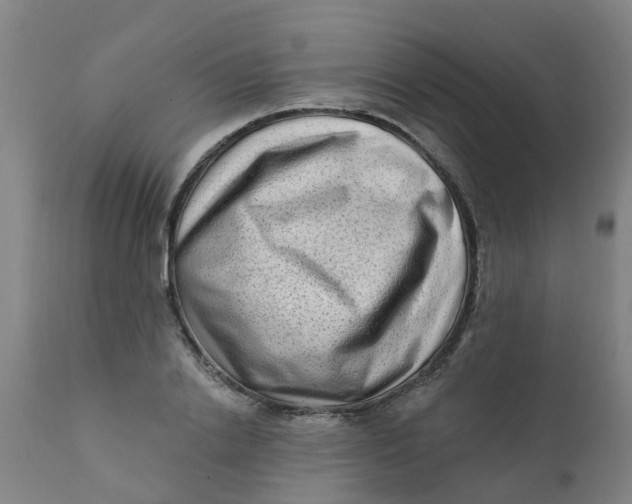 X0000111790838200908131410