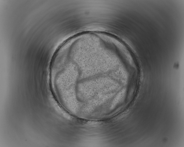 X0000111790840200908131410