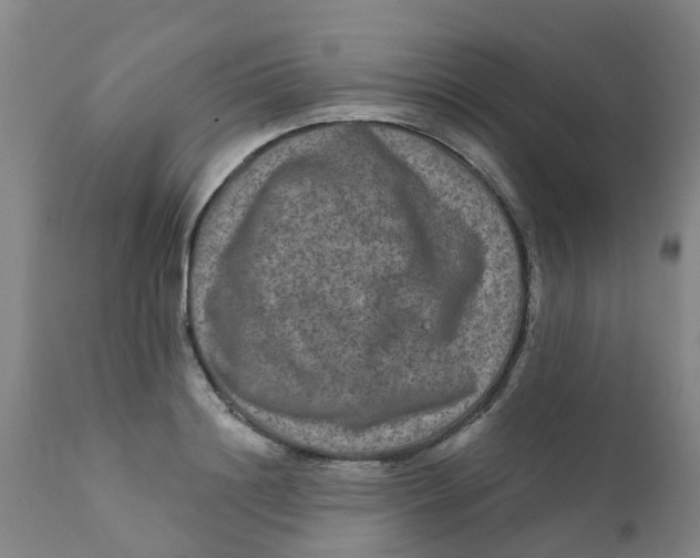 X0000111790844200908131410