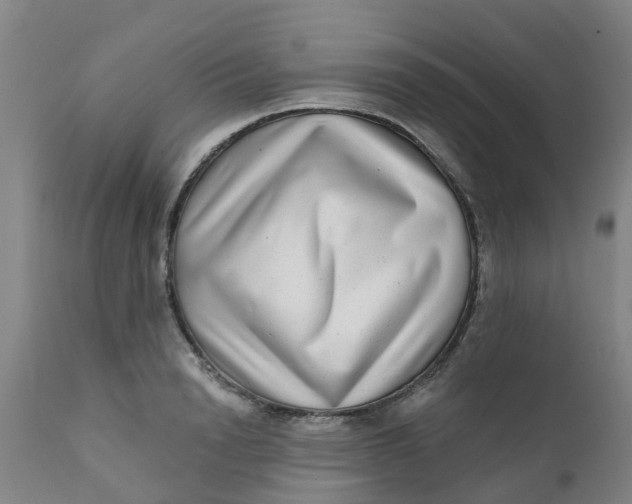 X0000111790846200908131410