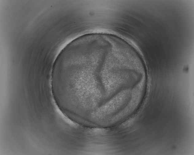 X0000111790847200908131410