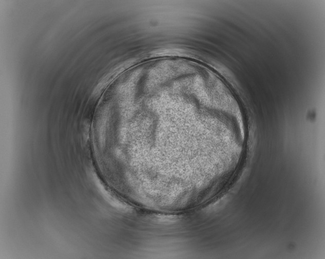 X0000111790849200908131410