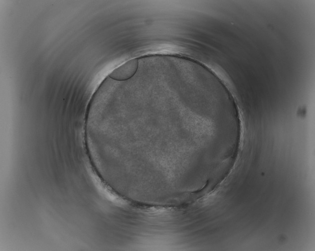 X0000111790850200908131410