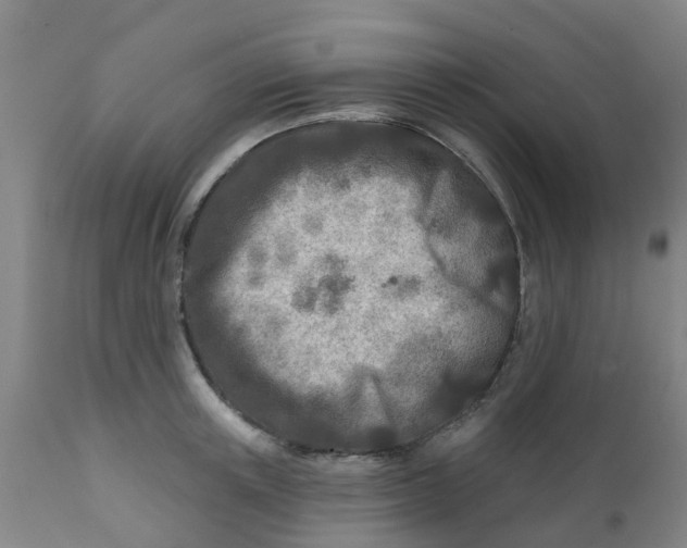 X0000111790851200908131410