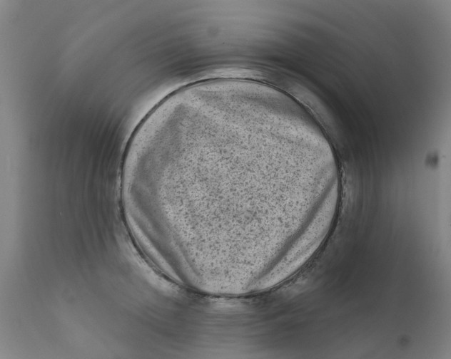 X0000111790852200908131410