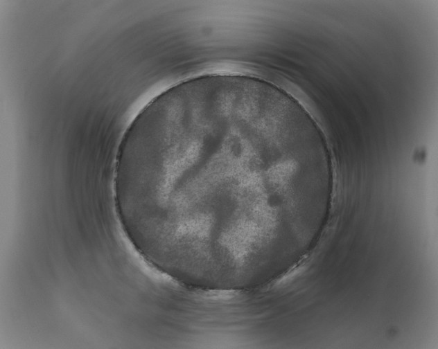 X0000111790853200908131410