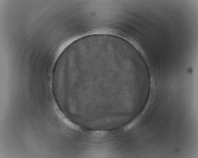 X0000111790854200908131410