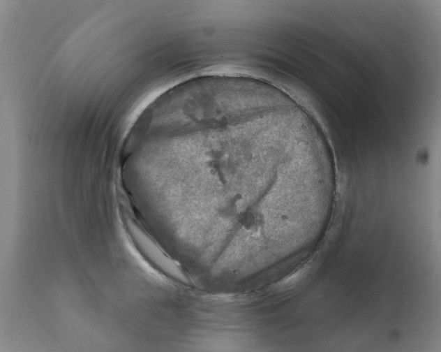 X0000111790855200908131410