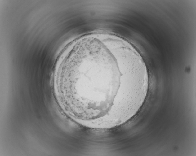 X0000111790856200908131410