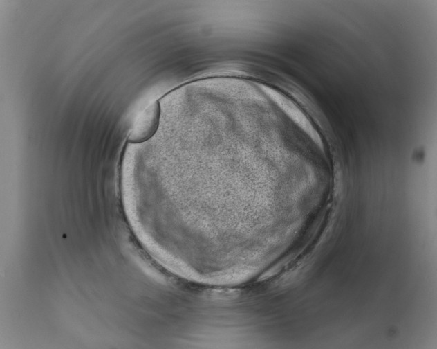 X0000111790858200908131410