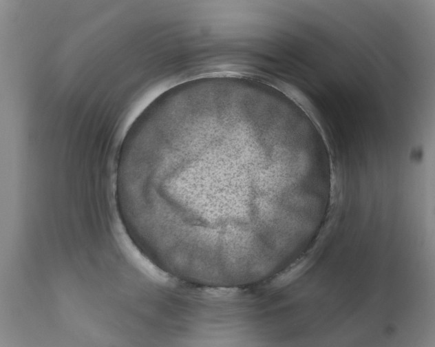 X0000111790859200908131410