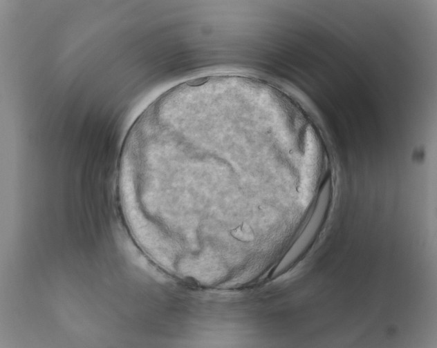 X0000111790860200908131410