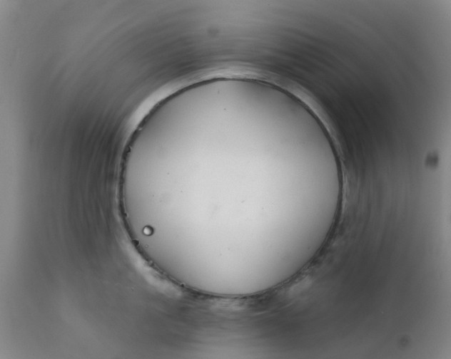 X0000111790861200908131410