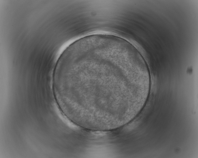 X0000111790862200908131410