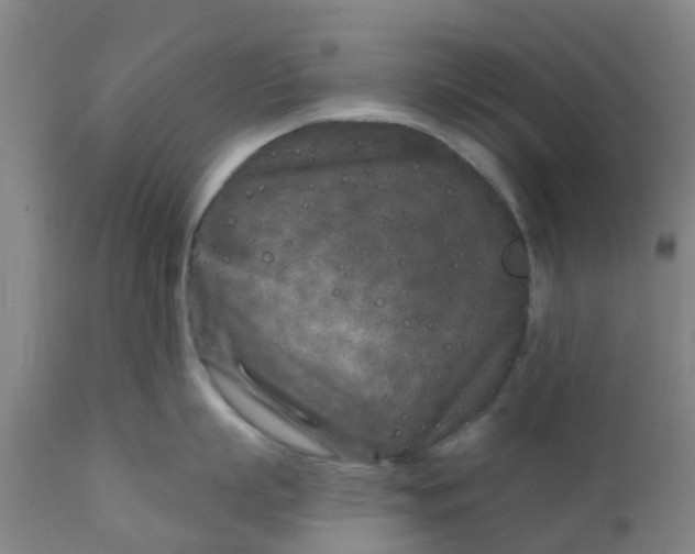 X0000111790863200908131411