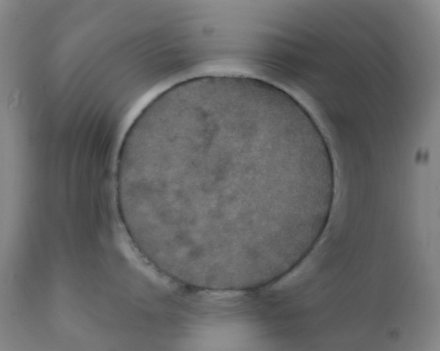 X0000111790864200908131411