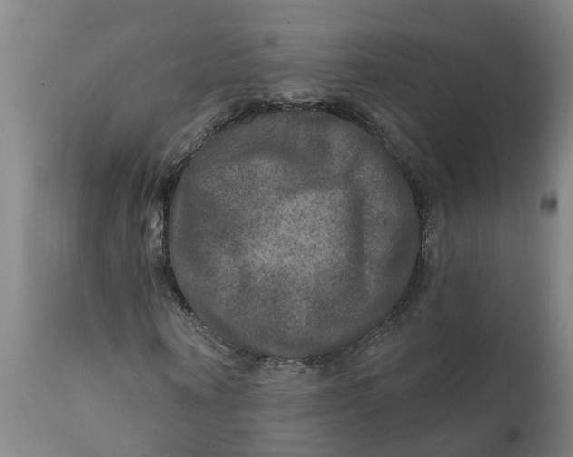 X0000111790866200908131410