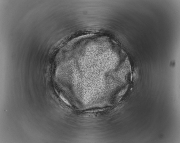 X0000111790867200908131410