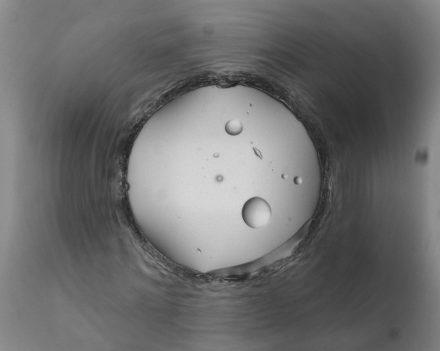 X0000111790868200908131410