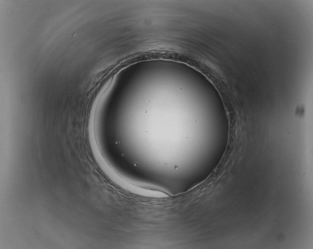 X0000111790869200908131410