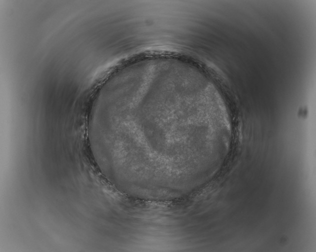 X0000111790870200908131410