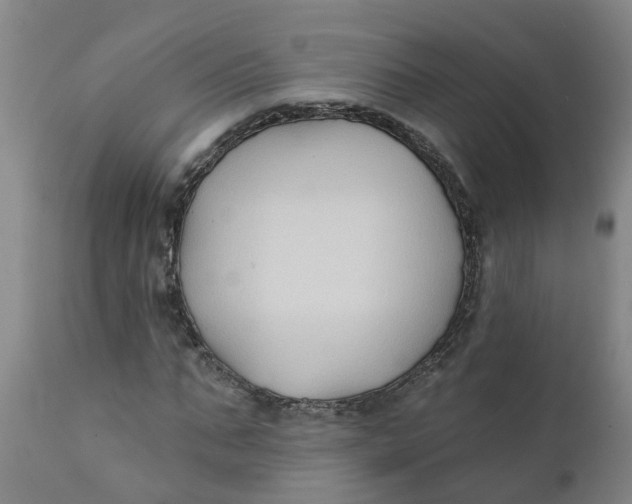 X0000111790871200908131410