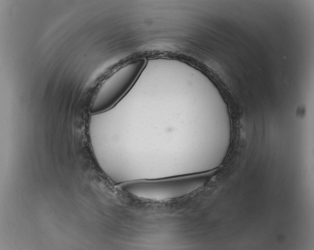 X0000111790872200908131410