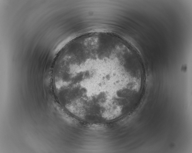 X0000111790874200908131410