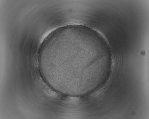 X0000111790878200908131410