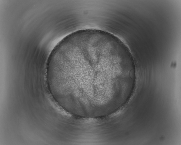 X0000111790879200908131410