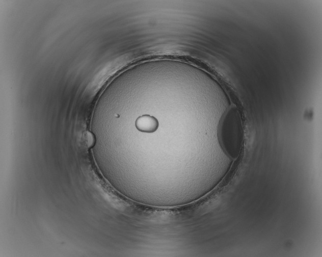 X0000111790881200908131410