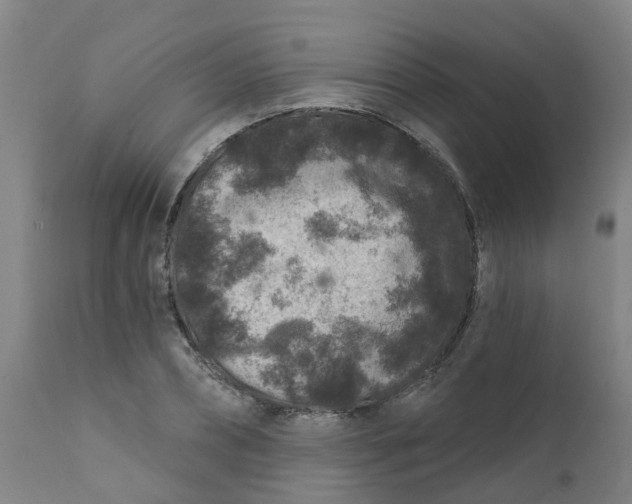 X0000111790882200908131409