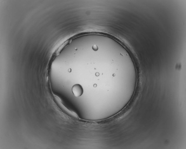 X0000111790885200908131409