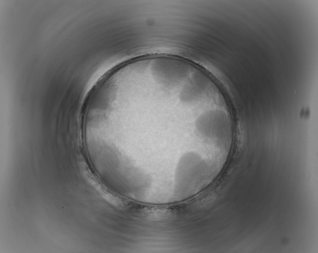 X0000111790886200908131409