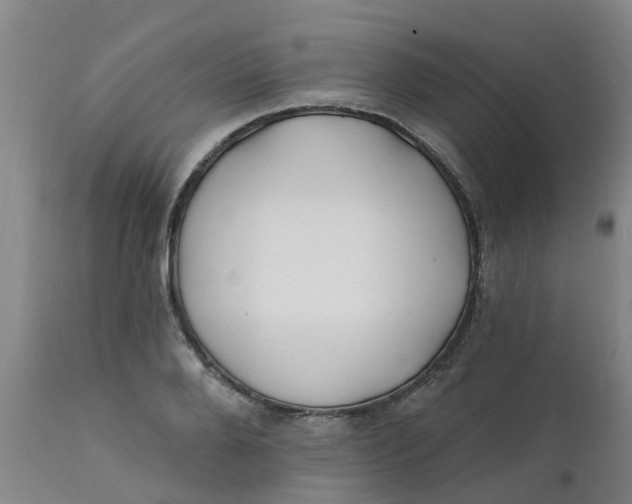 X0000111790888200908131409