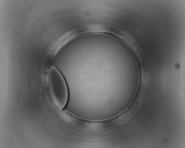 X0000111790889200908131409