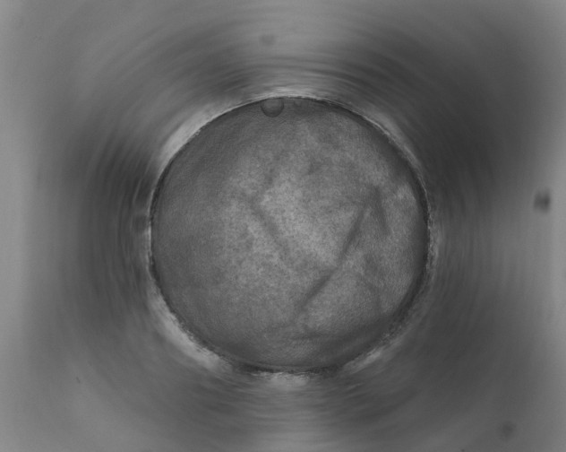 X0000111790890200908131409